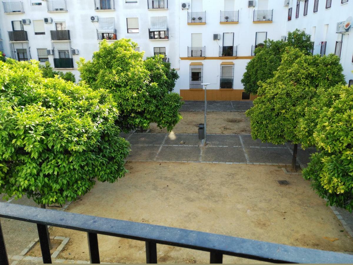 Apartamento Plaza Compania Jerez Jerez de la Frontera Ngoại thất bức ảnh
