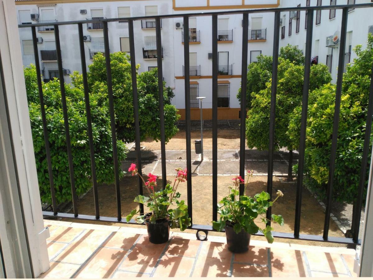 Apartamento Plaza Compania Jerez Jerez de la Frontera Ngoại thất bức ảnh